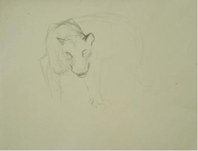 Orovida Pissarro - Study of Tiger